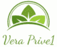 Security Services in Satara